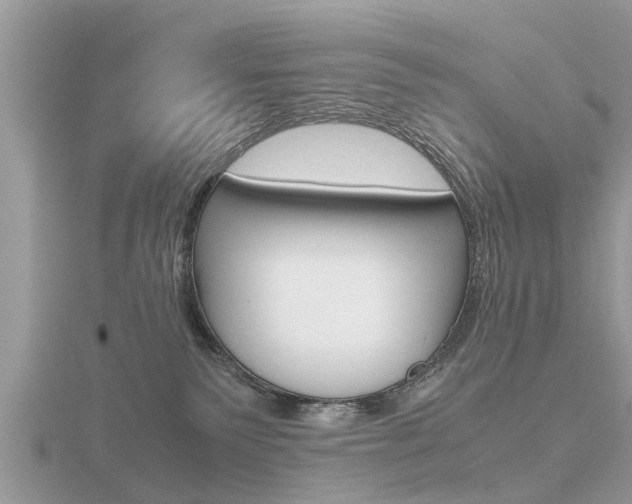 X0000116660135200912141034