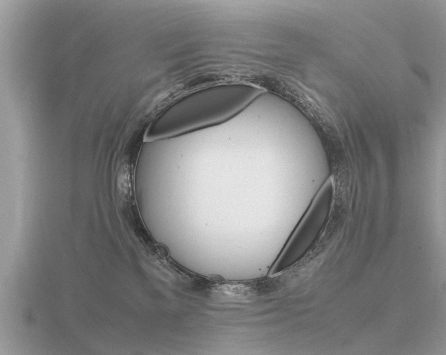 X0000116660137200912141034