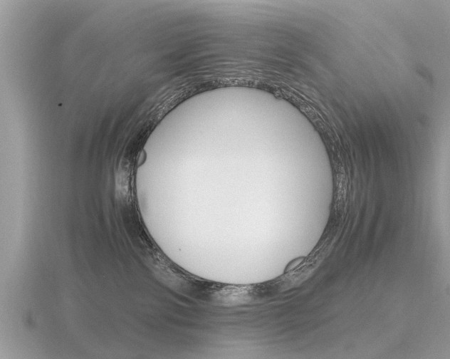 X0000116660138200912141034