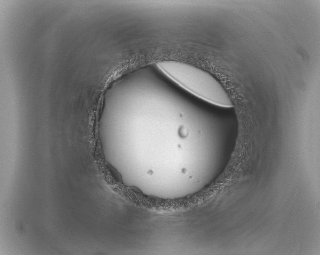 X0000116660144200912141034