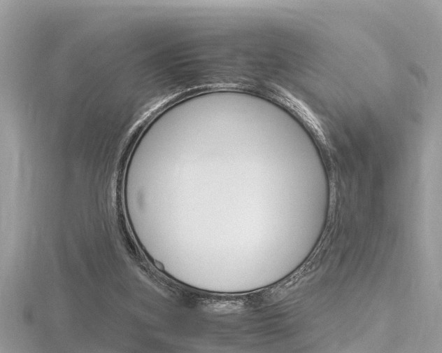 X0000116660155200912141033