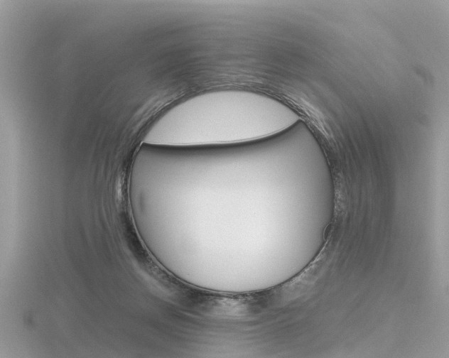 X0000116660166200912141033