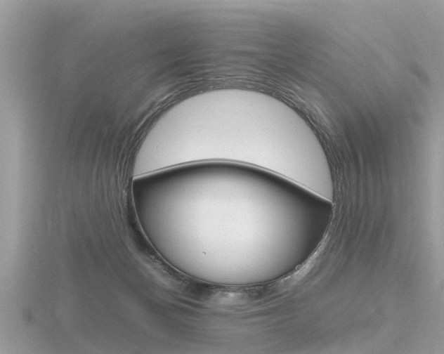 X0000116660174200912141034