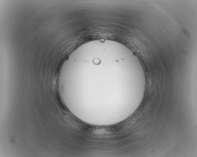 X0000116660177200912141034