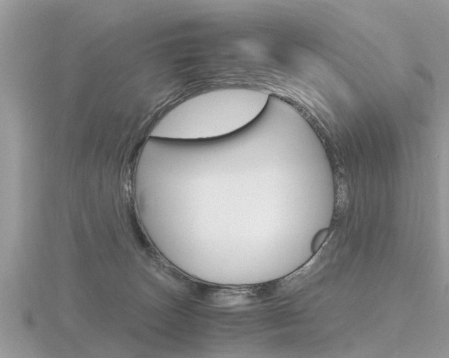 X0000116660179200912141034