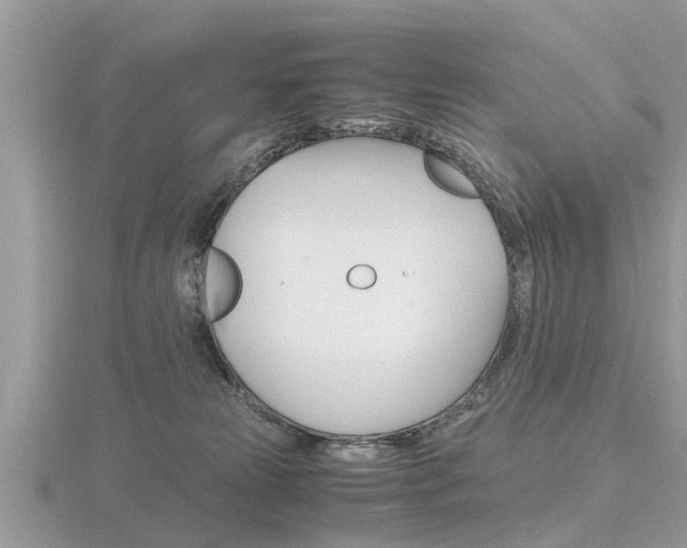 X0000116660181200912141034