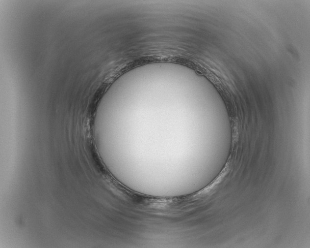 X0000116660182200912141034