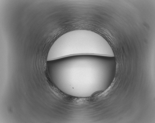 X0000116660186200912141034