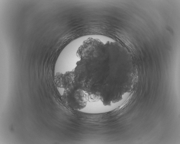 X0000116660187200912141034