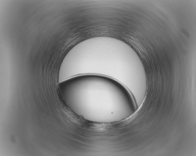 X0000116660190200912141034