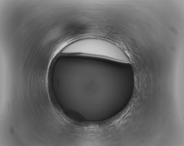 X0000116660196200912141033