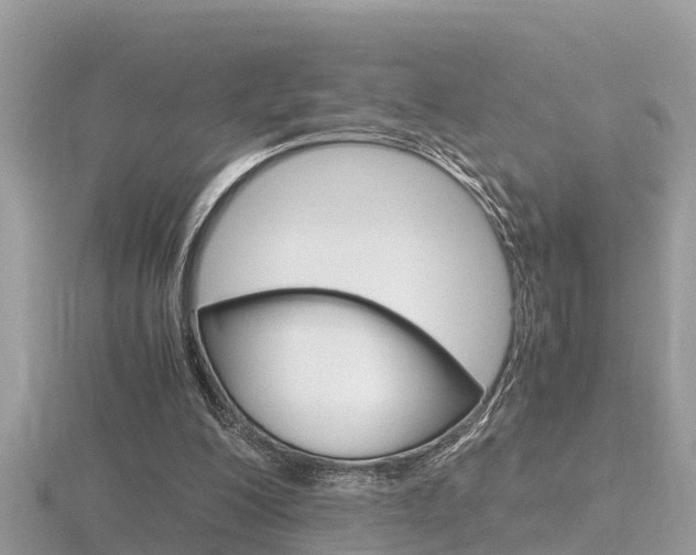 X0000116660200200912141033