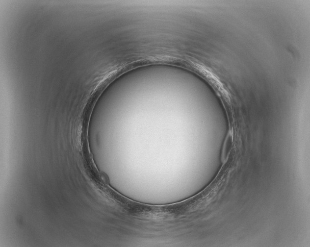 X0000116660201200912141033