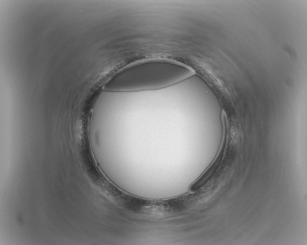 X0000116660211200912141033