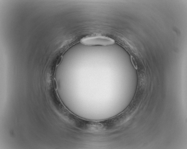 X0000116660215200912141033