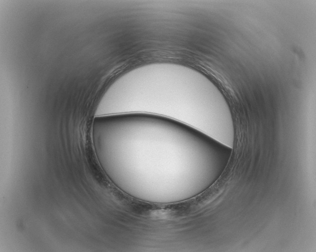 X0000116660216200912141033