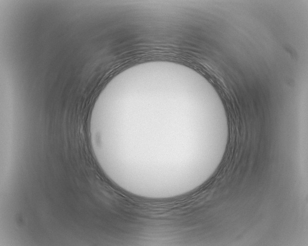 X0000116660221200912141033
