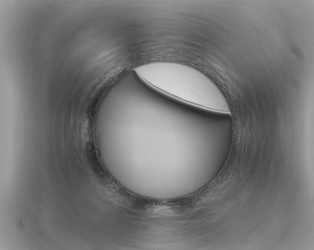 X0000116660224200912141033