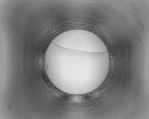 X0000116660226200912141033