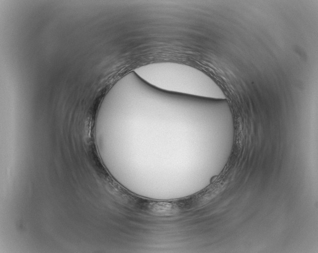 X0000116660230200912141033