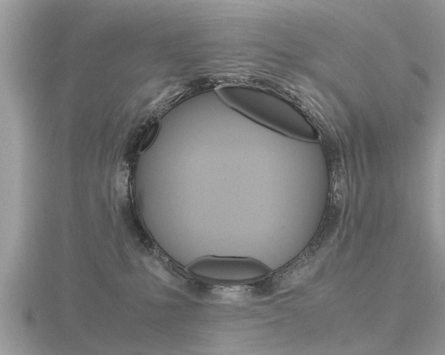 X0000116660231200912141033