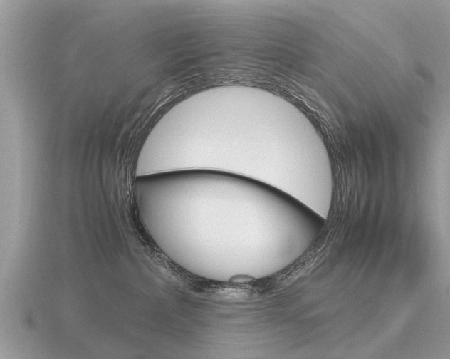 X0000116660236200912141033