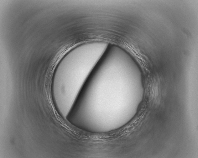 X0000116660241200912141032