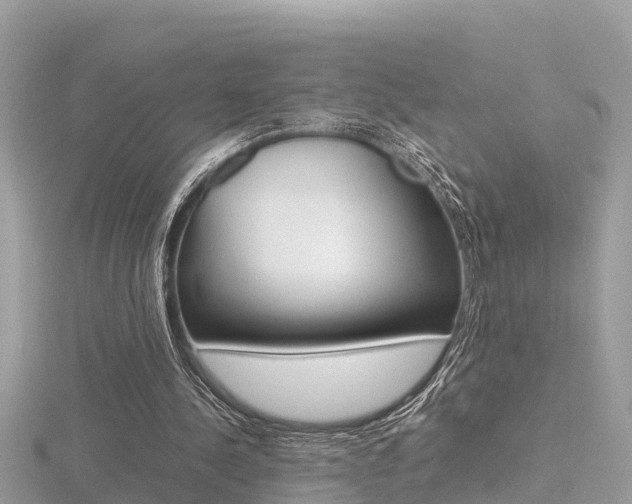 X0000116660244200912141032