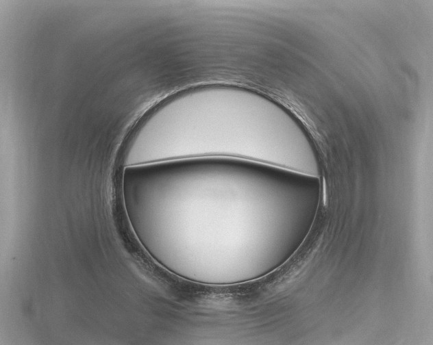 X0000116660252200912141032