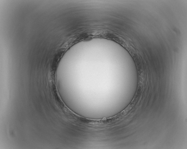 X0000116660272200912141032
