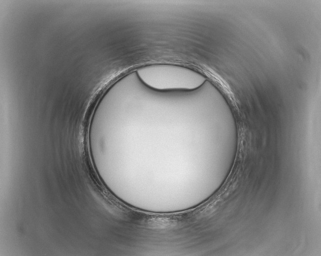 X0000116660298200912141032