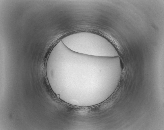 X0000116660306200912141032