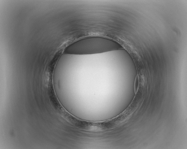 X0000116660308200912141032