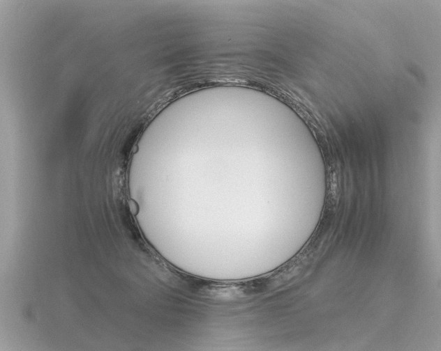 X0000116660322200912141031