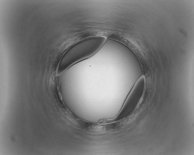 X0000116660325200912141031