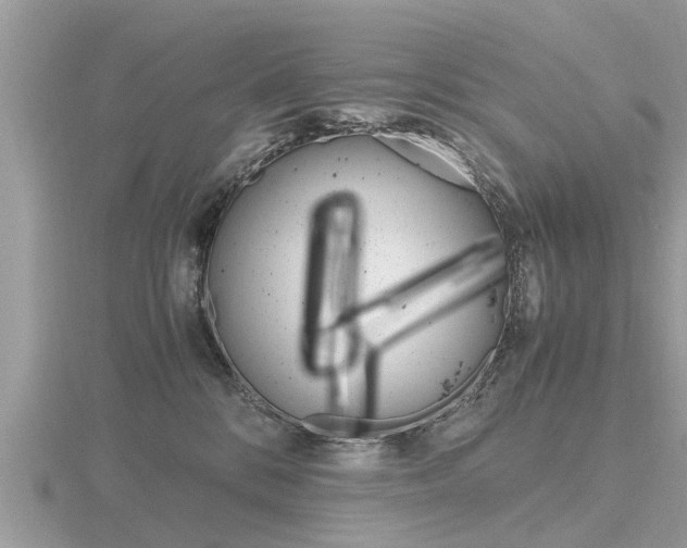 X0000116660328200912141031