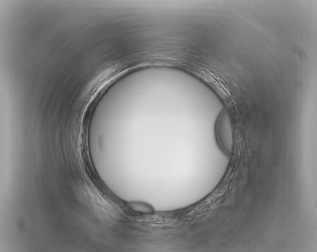 X0000116660338200912141031