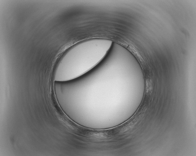 X0000116660349200912141031