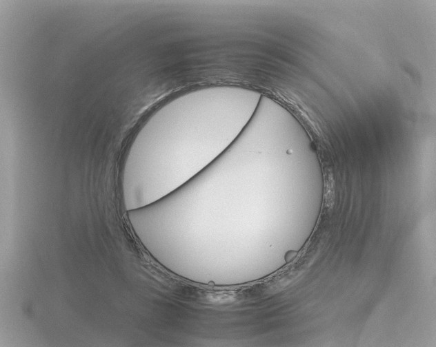 X0000116660355200912141031