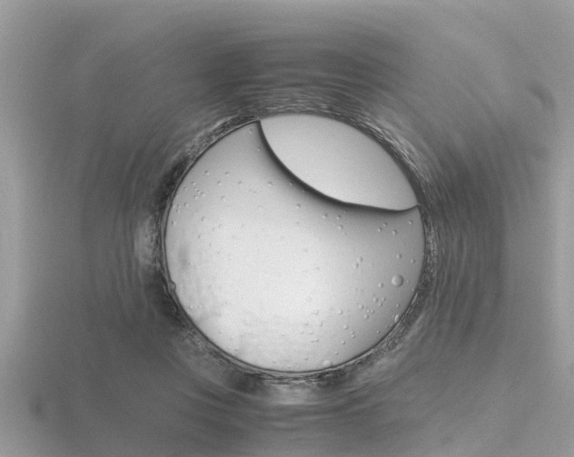 X0000116660359200912141031