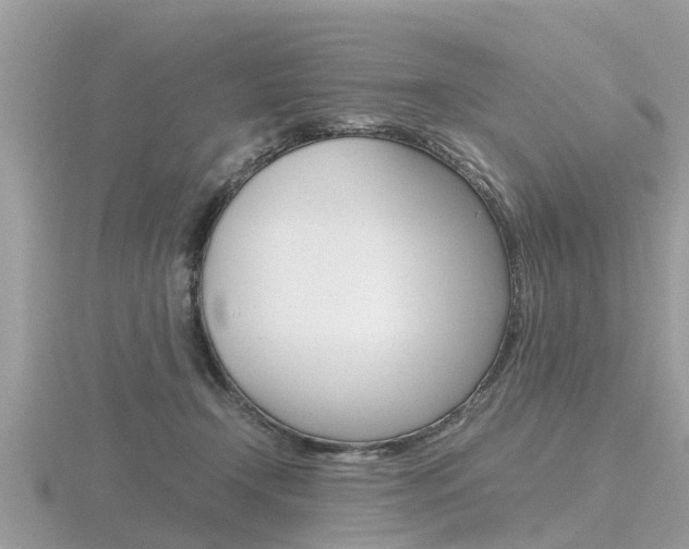X0000116660366200912141031