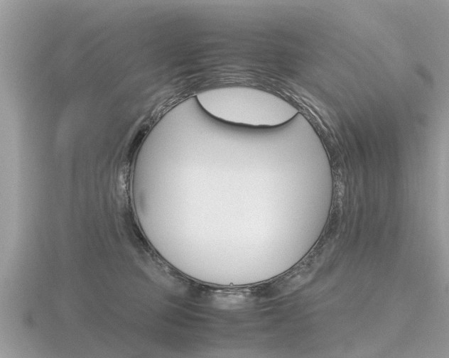 X0000116660373200912141031