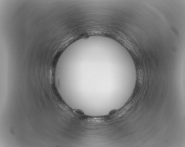 X0000116660378200912141031