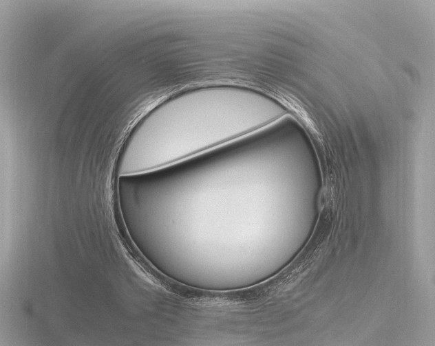X0000116660389200912141031