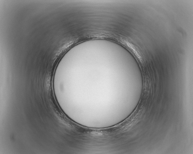 X0000116660394200912141031