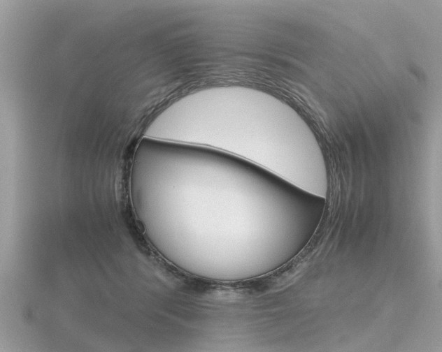 X0000116660416200912141030