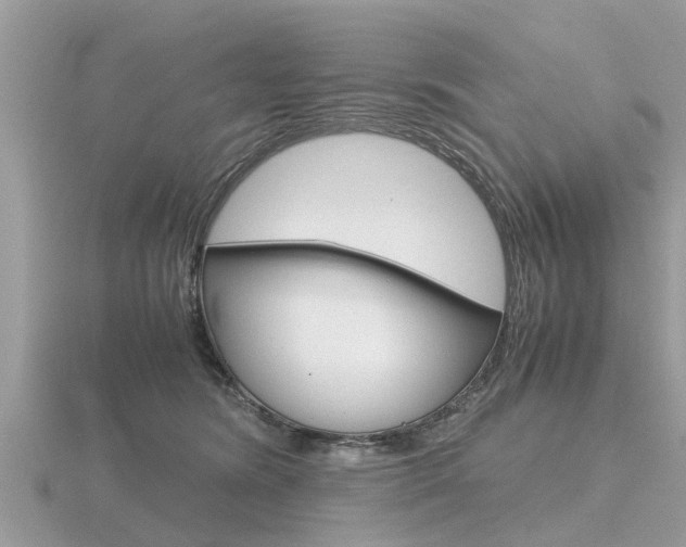 X0000116660420200912141030