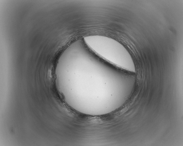 X0000116660424200912141030