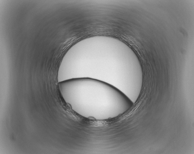 X0000116660432200912141030