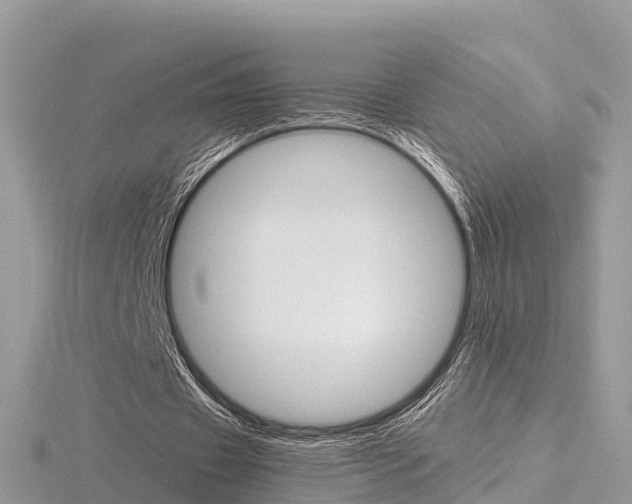 X0000116660433200912141029